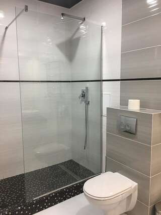 Апартаменты Studio with separate bed room Трускавец Апартаменты-15