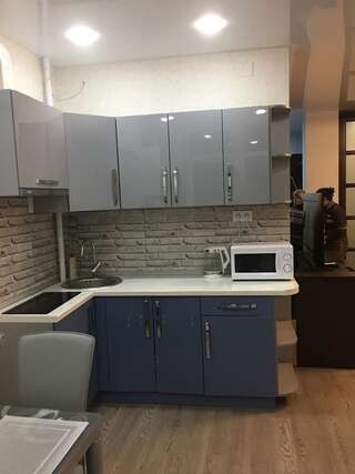 Апартаменты Studio with separate bed room Трускавец Апартаменты-17