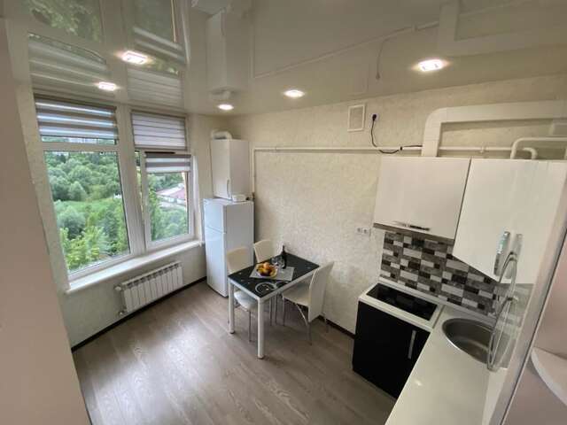 Апартаменты Studio with separate bed room Трускавец-33